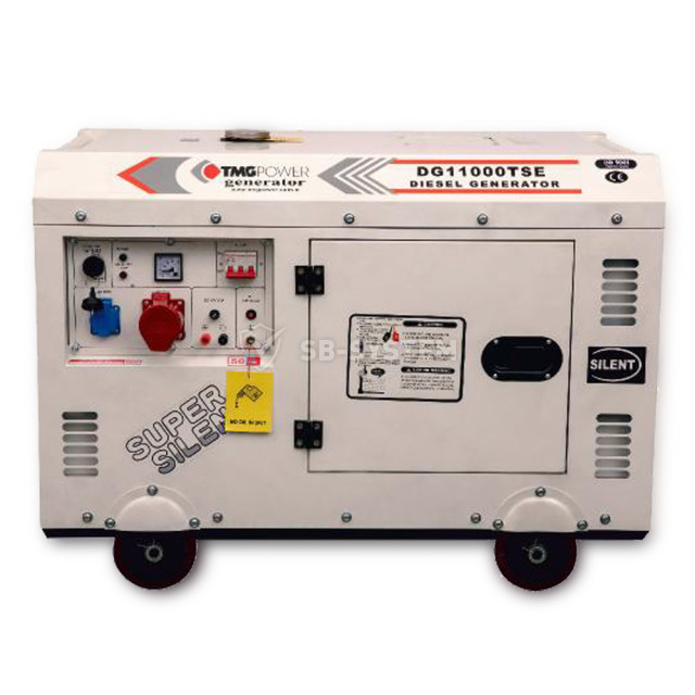 dizelnyy-generator-tmg-power-dg-11000tse-maksimalnaya-moshchnost-8-kvt-1009891.jpeg